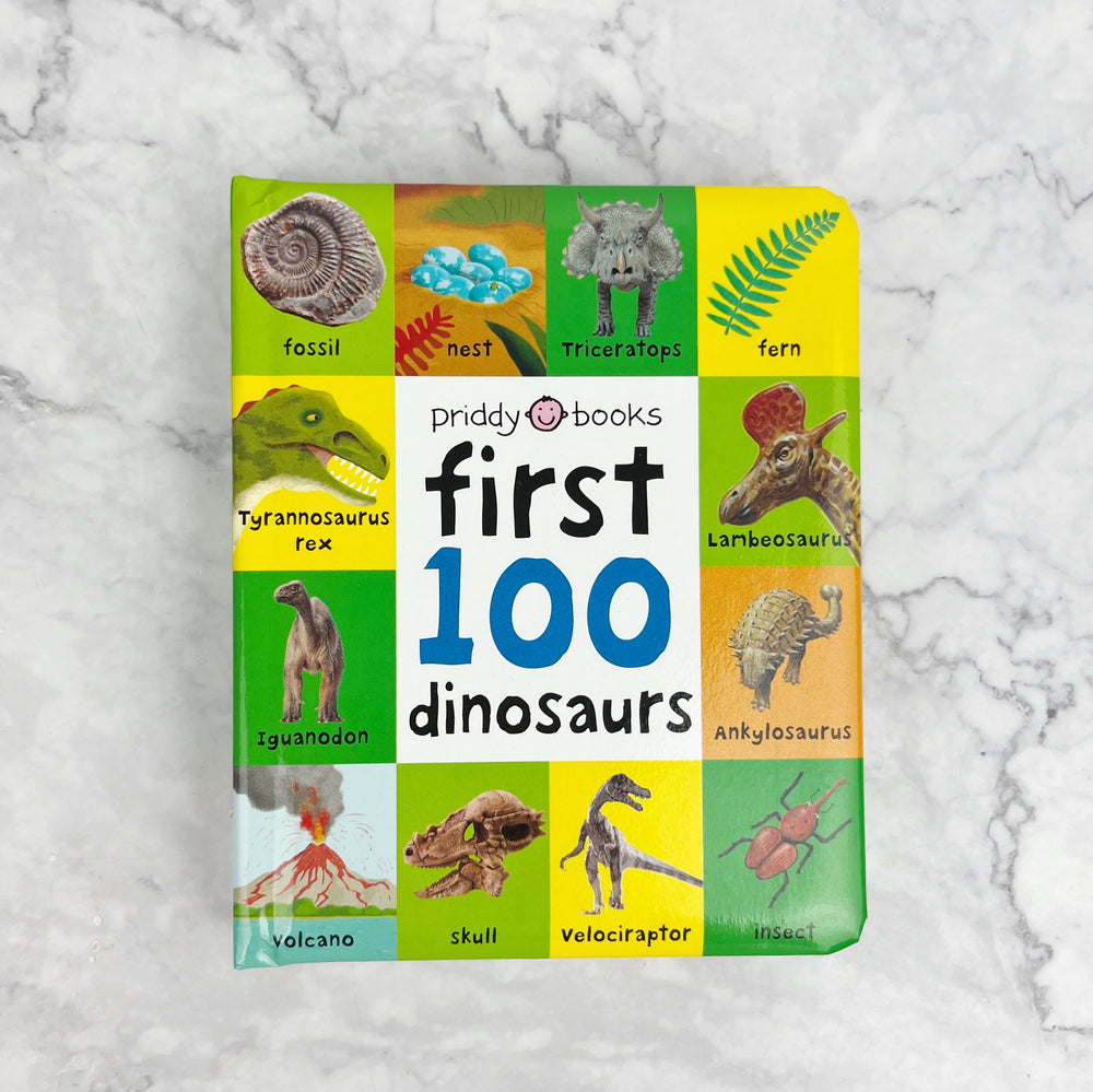 First Book of Dinosaurs