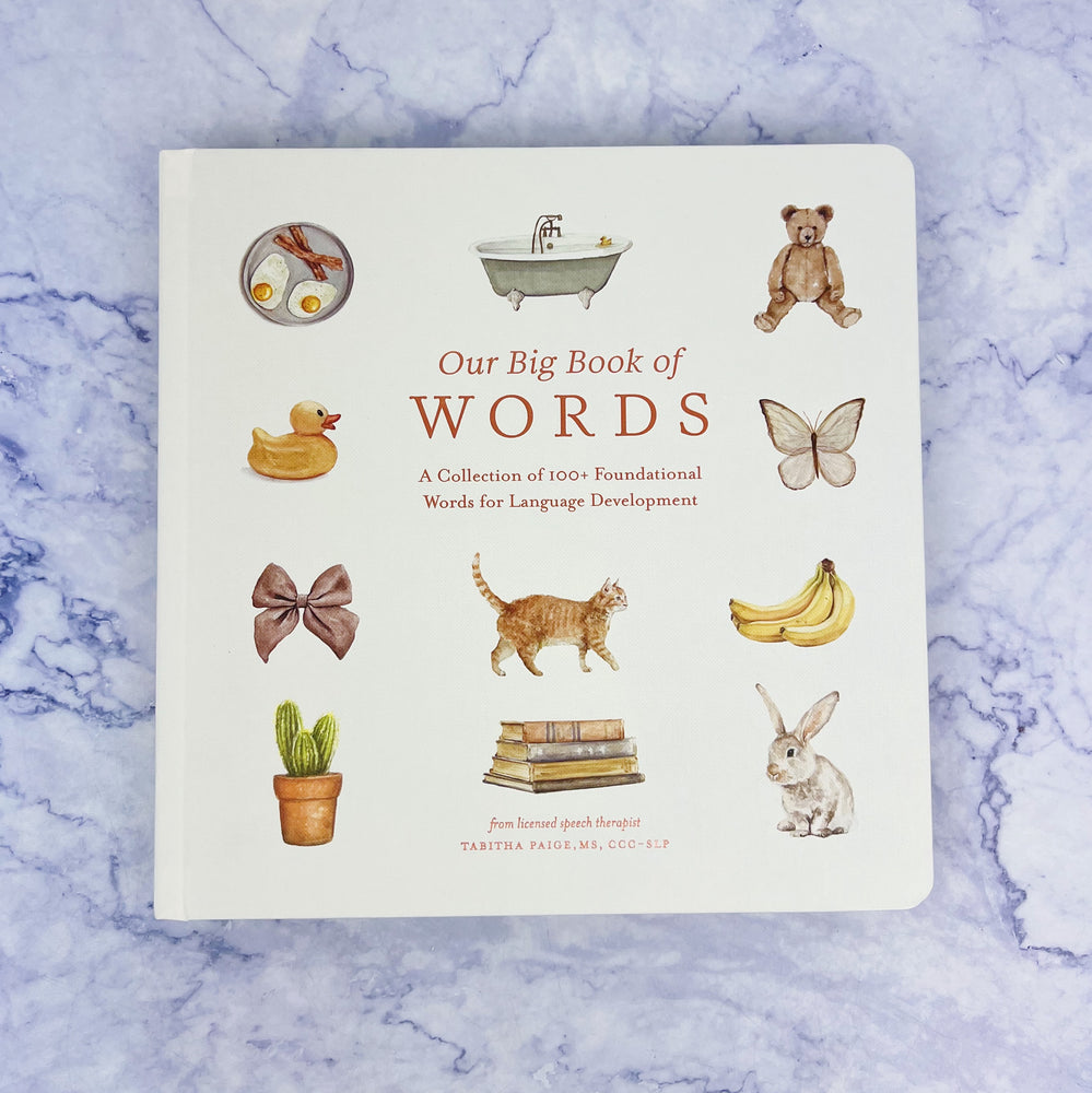 Our Big Book of Words