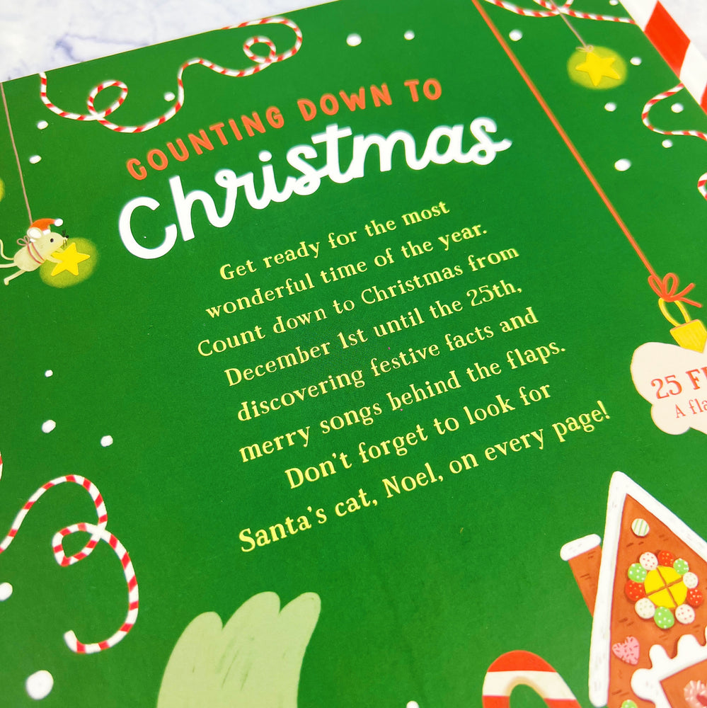 Counting Down to Christmas Advent Book