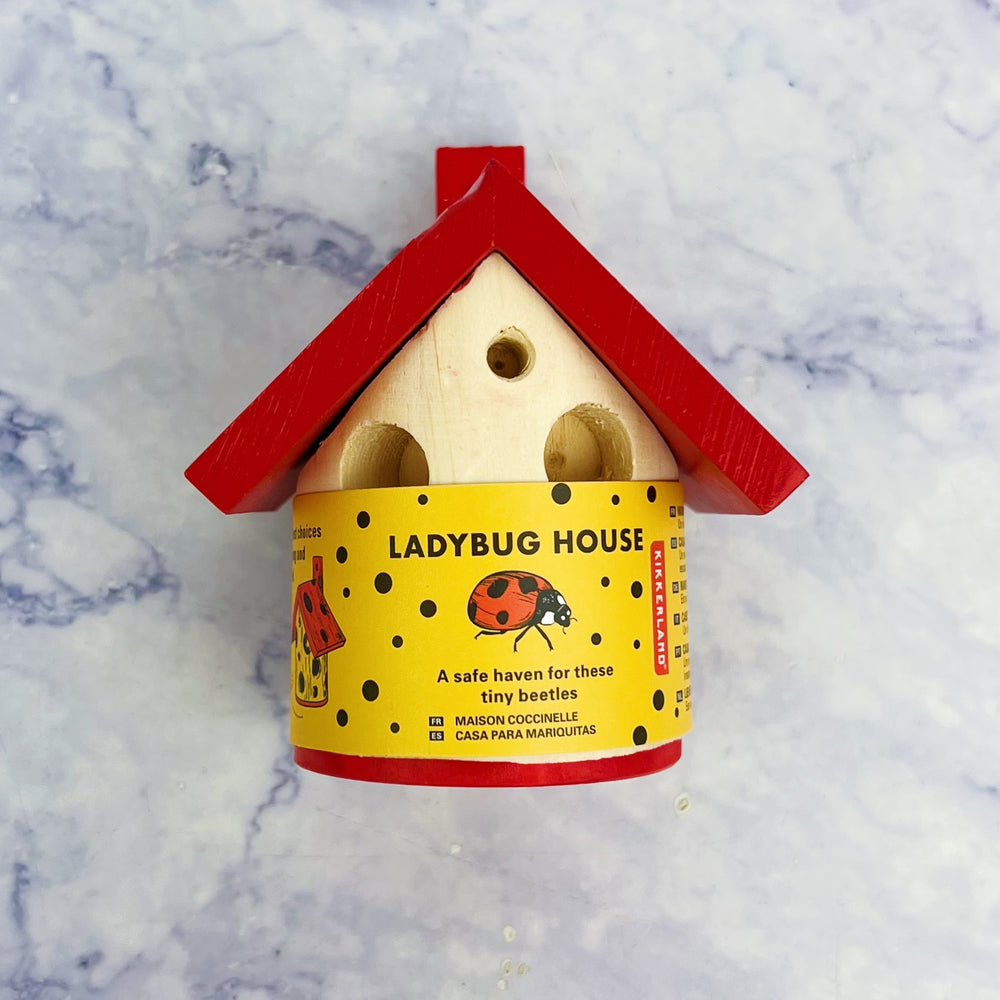 Ladybug House