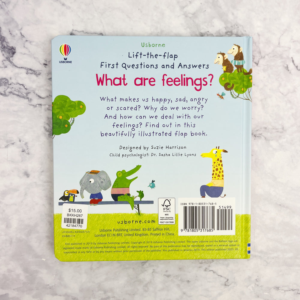 What Are Feelings?