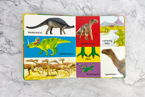 
                
                    Load image into Gallery viewer, First Book of Dinosaurs
                
            