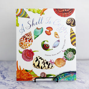A Shell Is Cozy