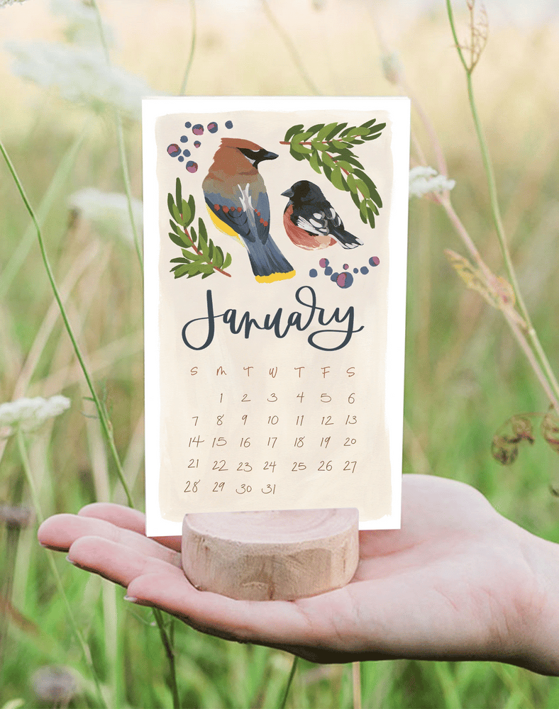 2024 Feathered Friends Stump Calendar
