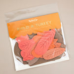 DIY Turkey Craft