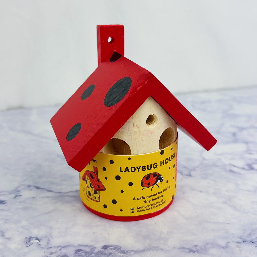 Ladybug House