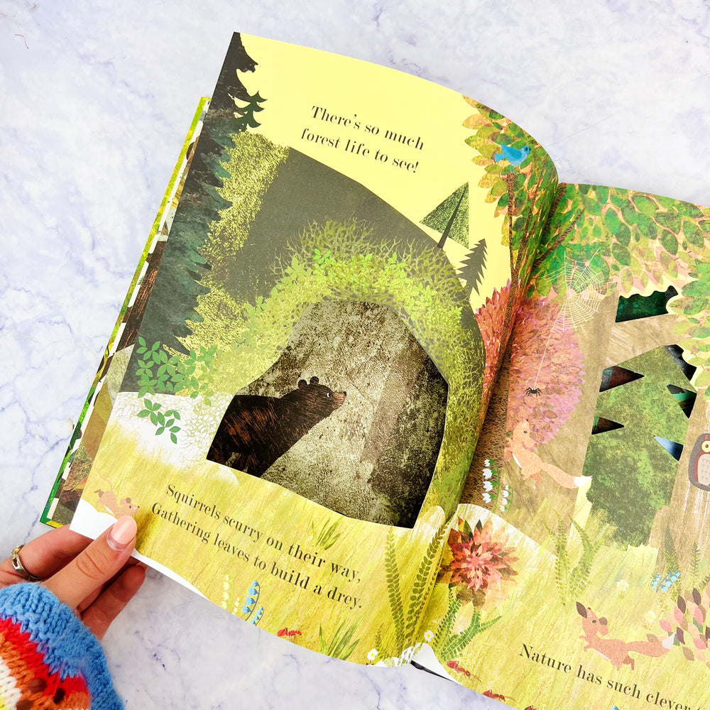 Home: A Peek-Through Picture Book