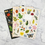 Curio Insect Notebook with Ruled Pages