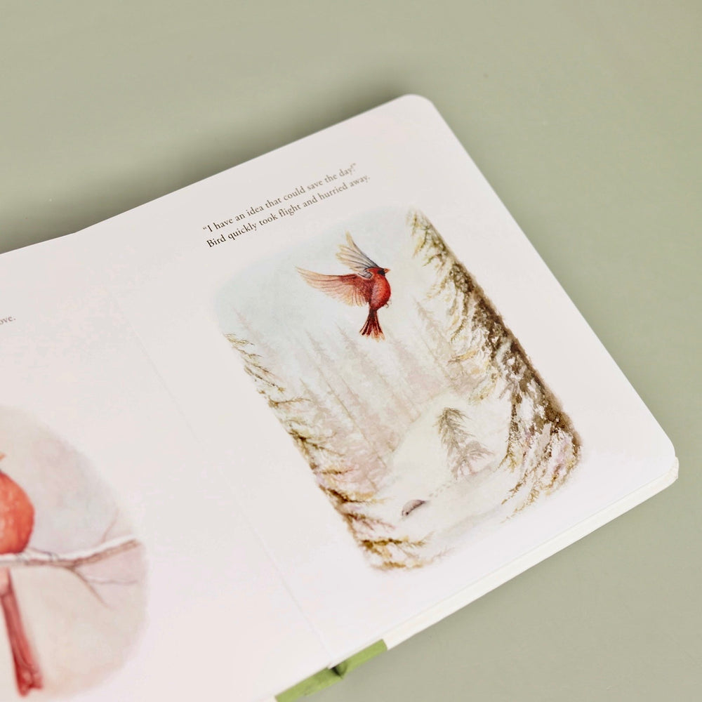 Our Little Adventure at Christmas