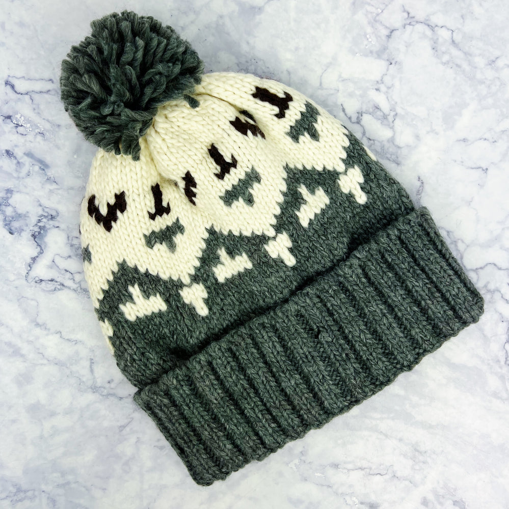 Ski Lodge Knit Pom Hat