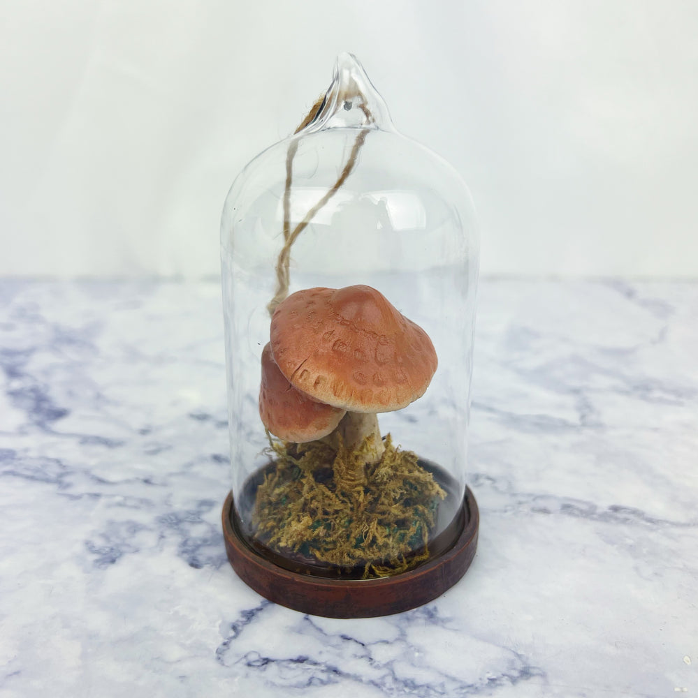 Mushroom Terrarium Ornament