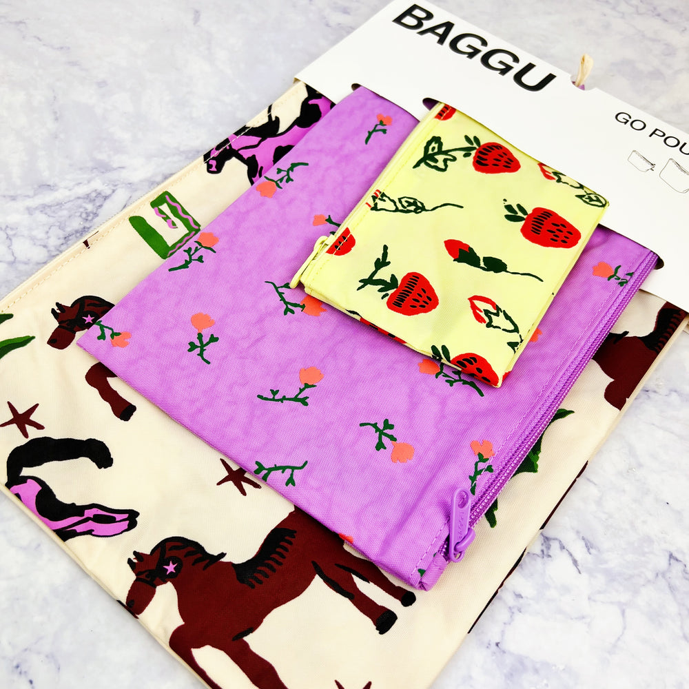 Go Pouch Set - Painted Prairie