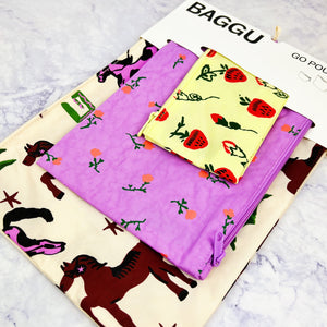 Go Pouch Set - Painted Prairie
