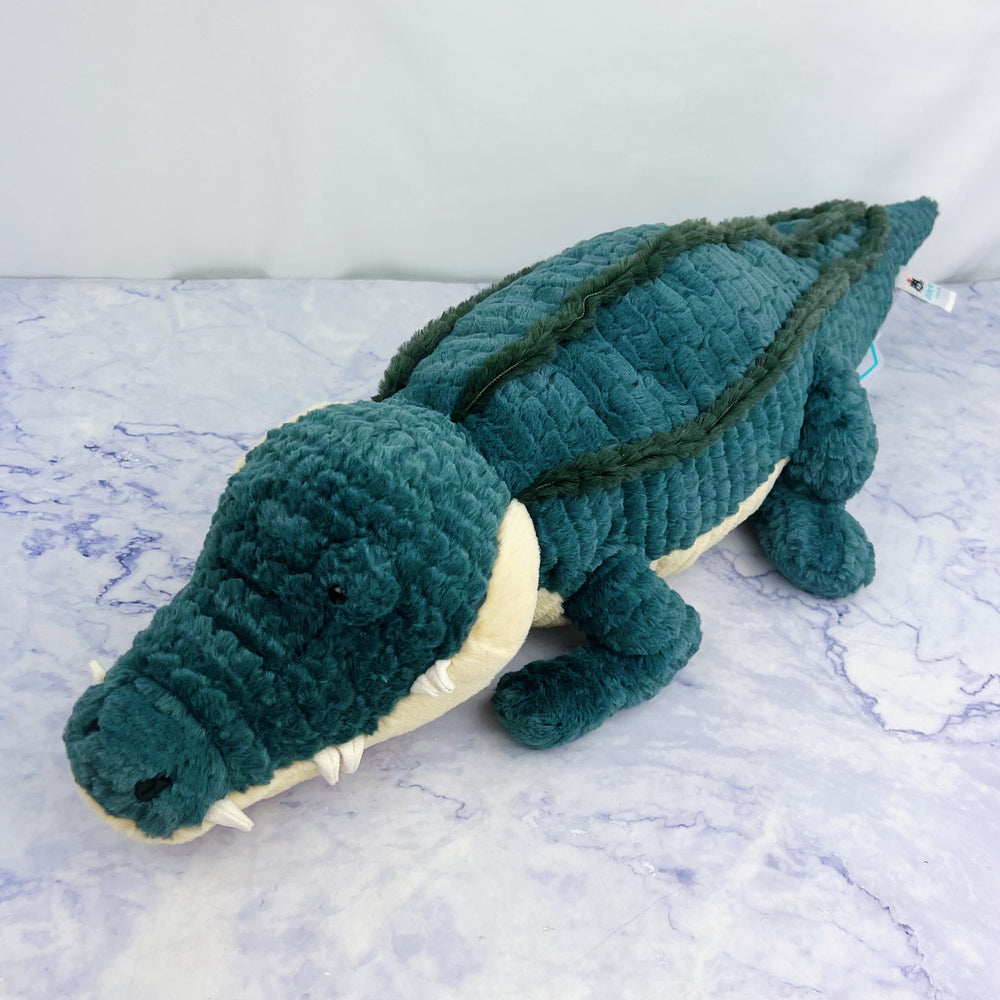 Allexi Alligator