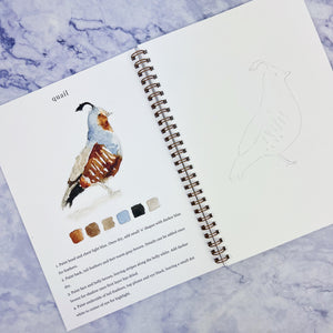 Birds Watercolor Workbook