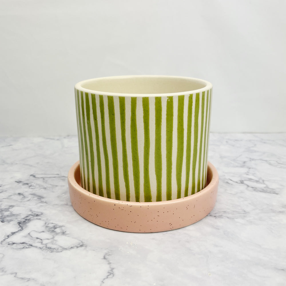 Pistachio and Punch Stripe Pot with Saucer