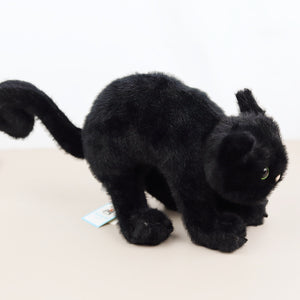 Spookipaws Cat