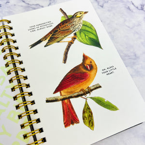 Salty Birds Sticker Book