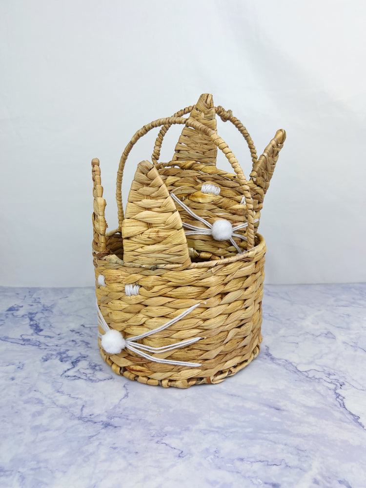 Hyacinth Bunny Basket With Ears