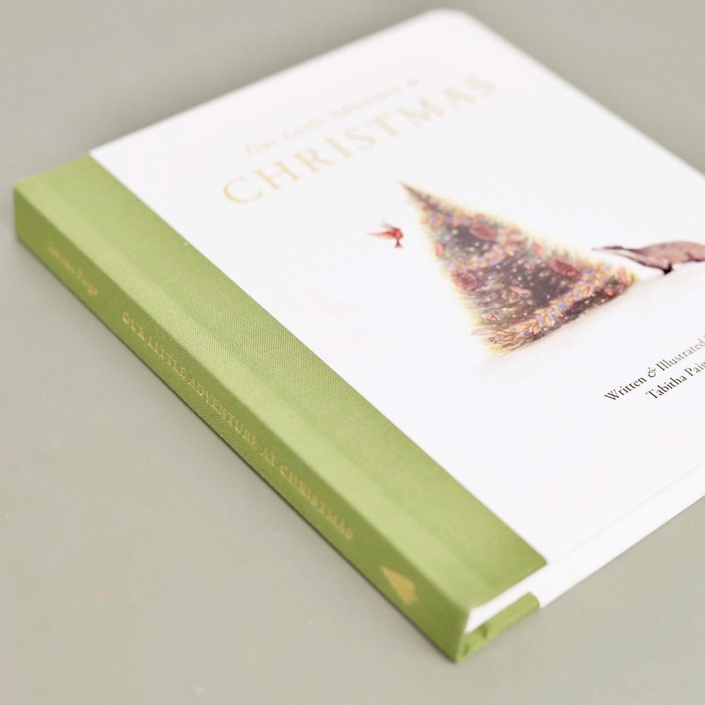 Our Little Adventure at Christmas