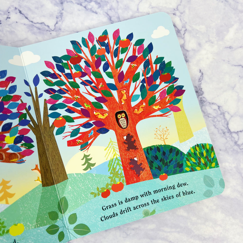 Tree - A Peek-Though Board Book