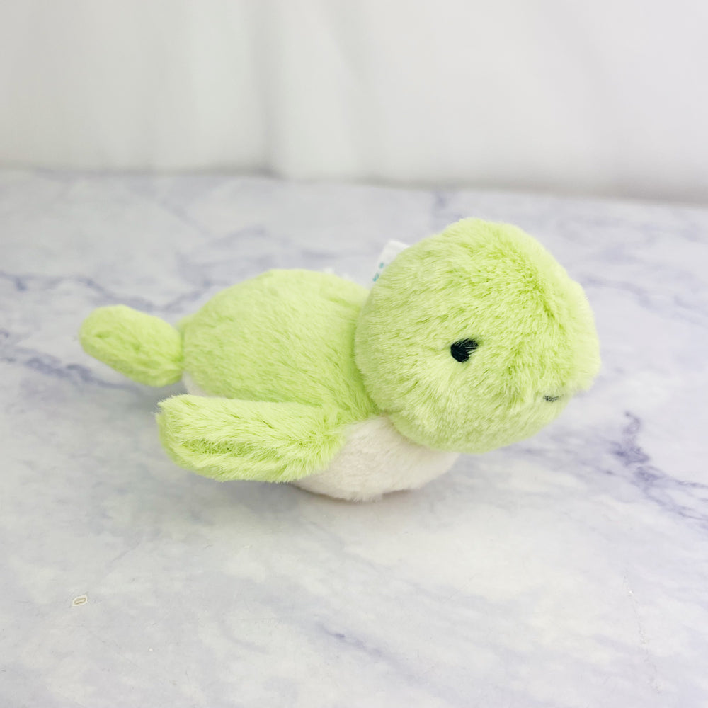 Fluffy Turtle