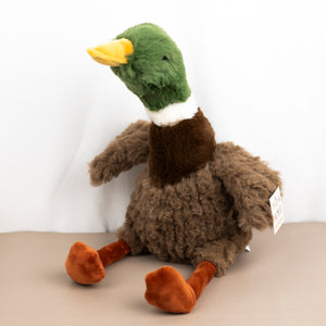 Mallard Duck