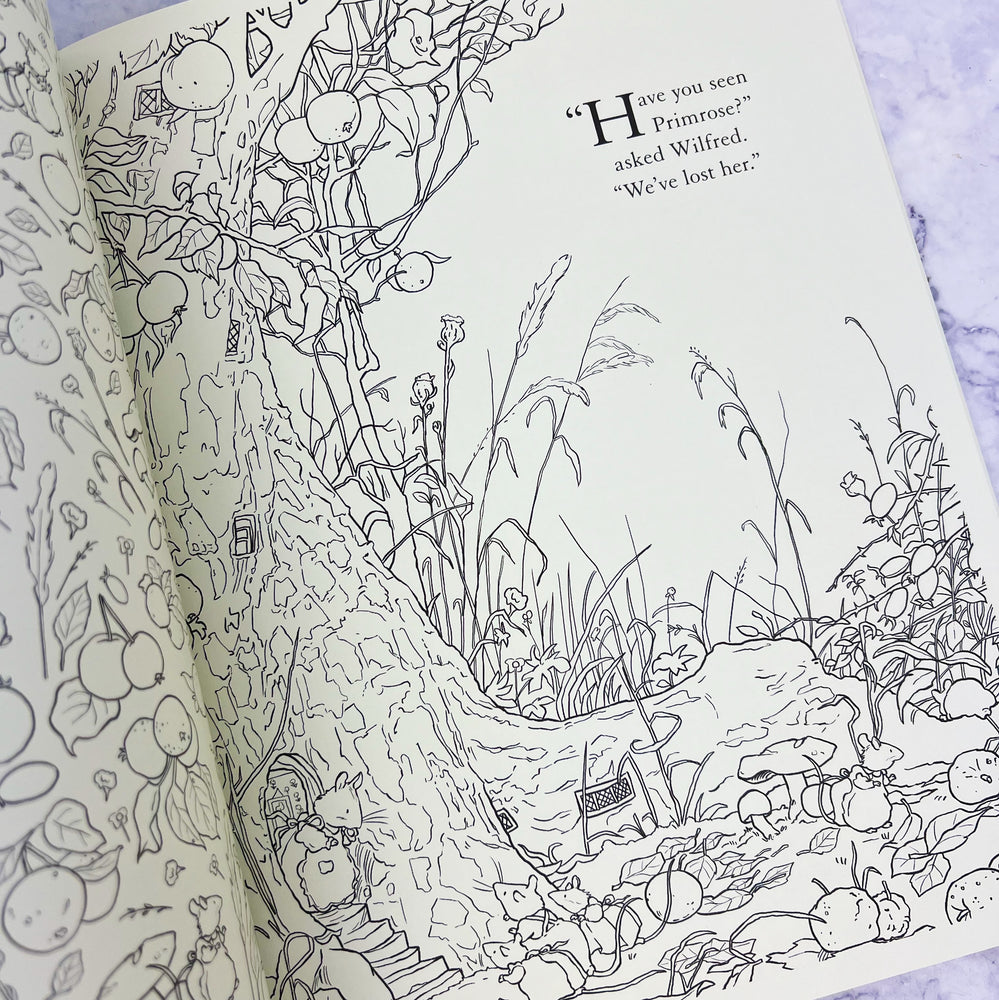 Brambly Hedge Festive Coloring Book