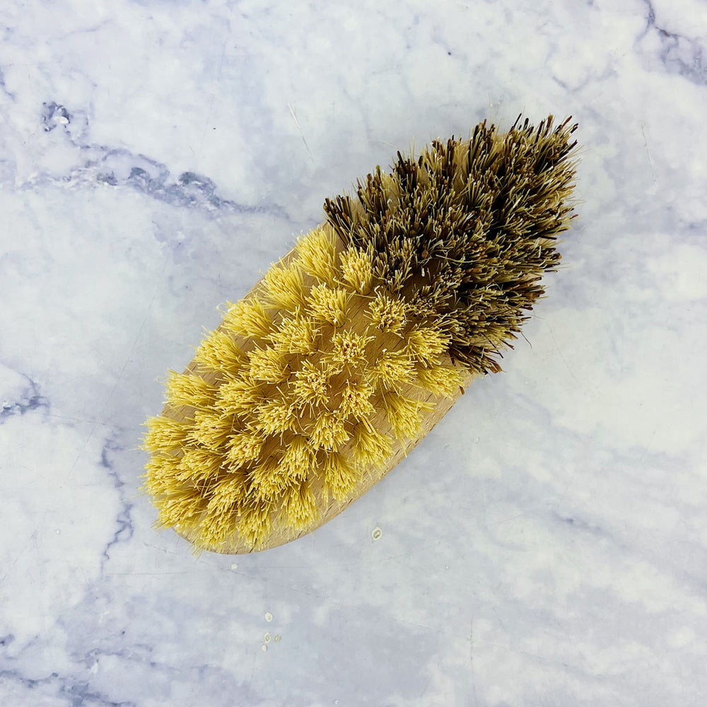 Vegetable Cleaning Brush