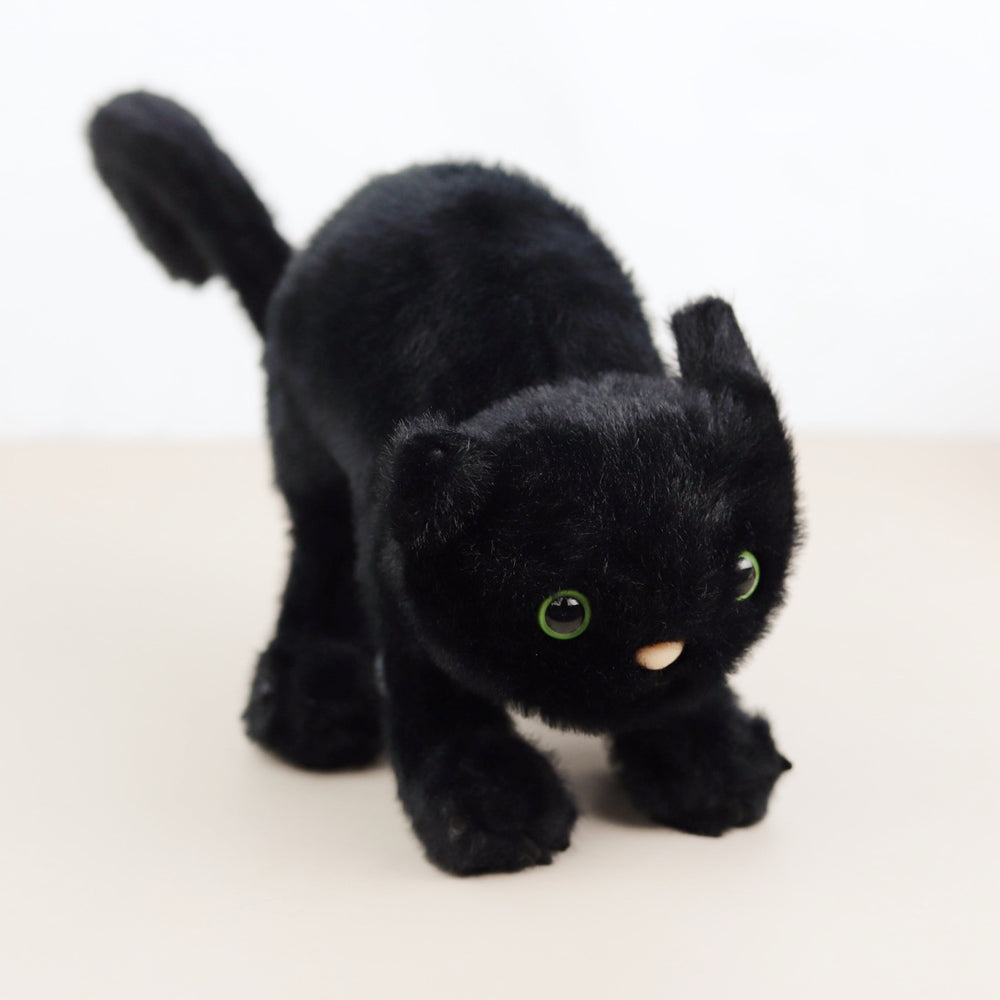 Spookipaws Cat