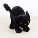 Spookipaws Cat