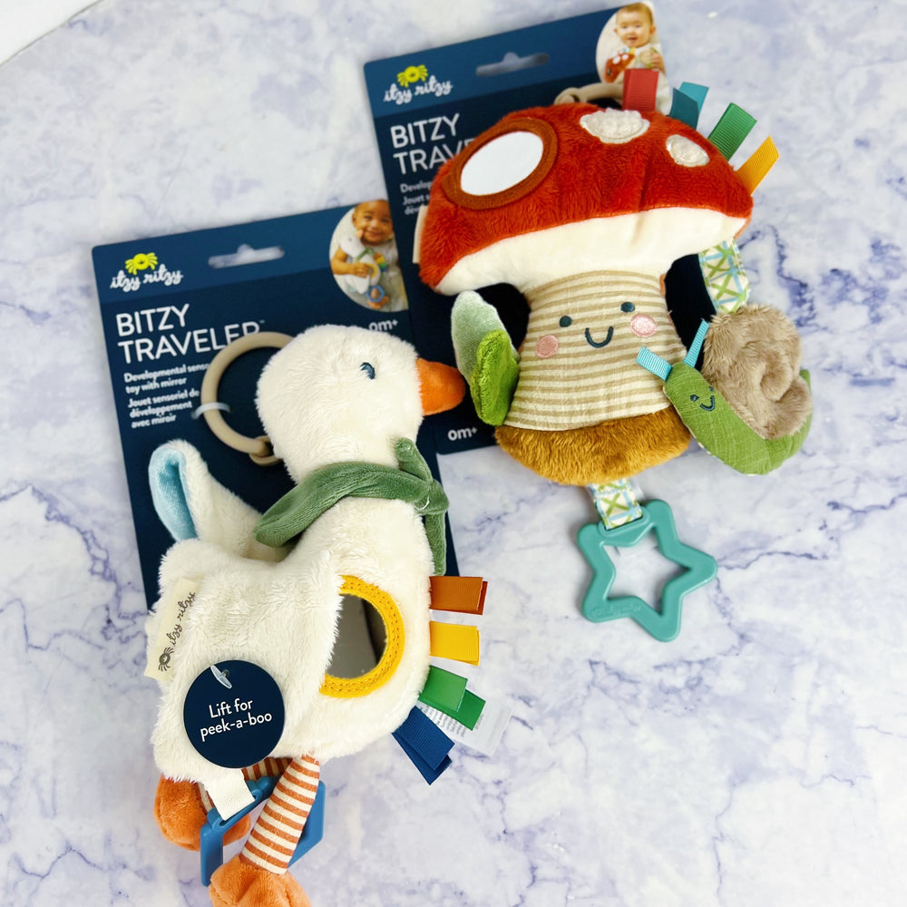 Bitzy Traveler Toy