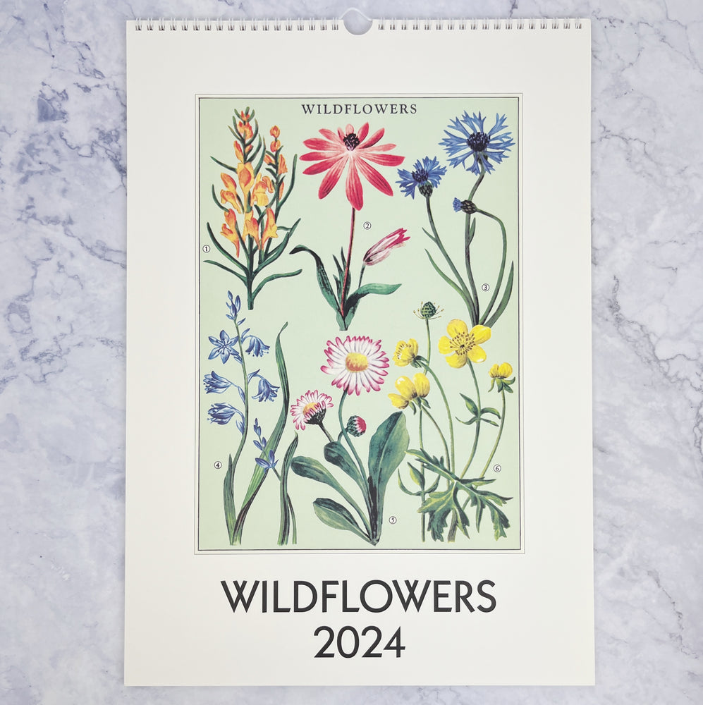 2024 Vintage Inspired Wall Calendar Wildflowers