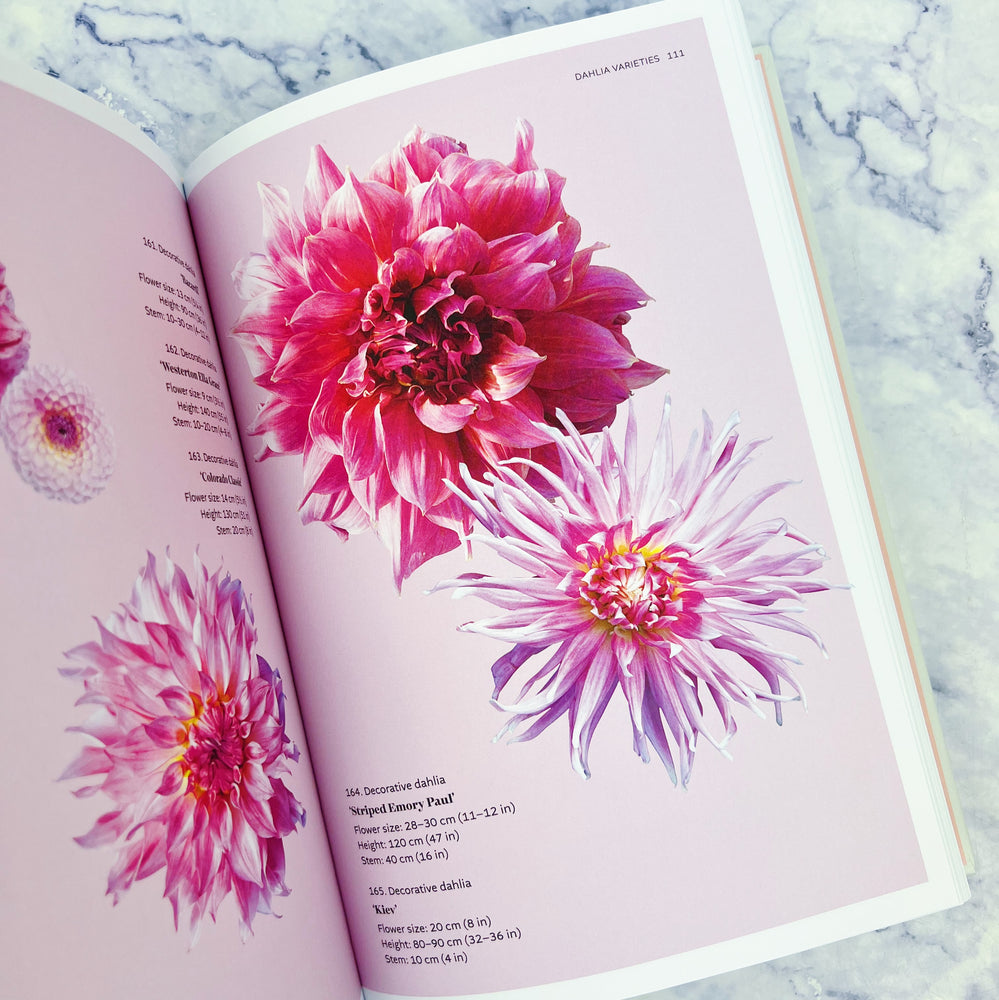 Dahlias: Cultivation, Care, Inspiration Book