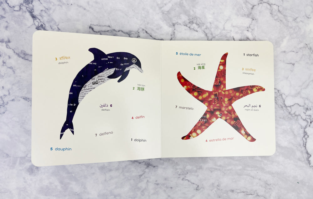 Words of the World - Ocean Animals