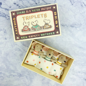 Triplet Baby Mice in Matchbox