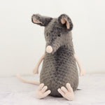 Lachlan Sad Rat
