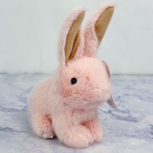 Pastel Petite Bunny