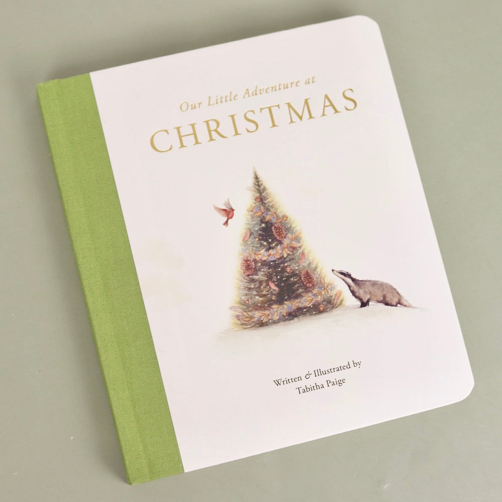 Our Little Adventure at Christmas