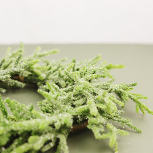 Sparkly Evergreen Wreath