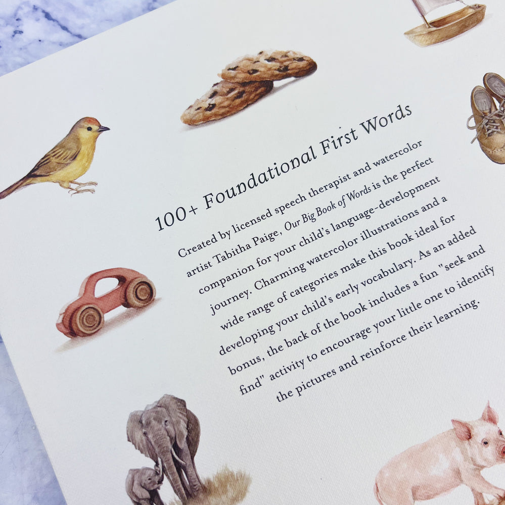 Our Big Book of Words