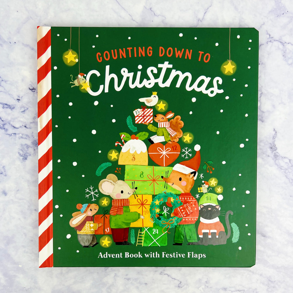 Counting Down to Christmas Advent Book