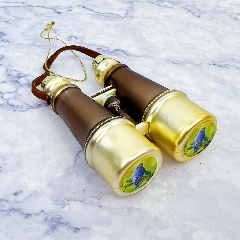 Glass Binocular Ornament