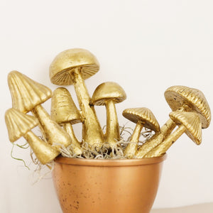 Mushroom Plant Sticks - Porcini