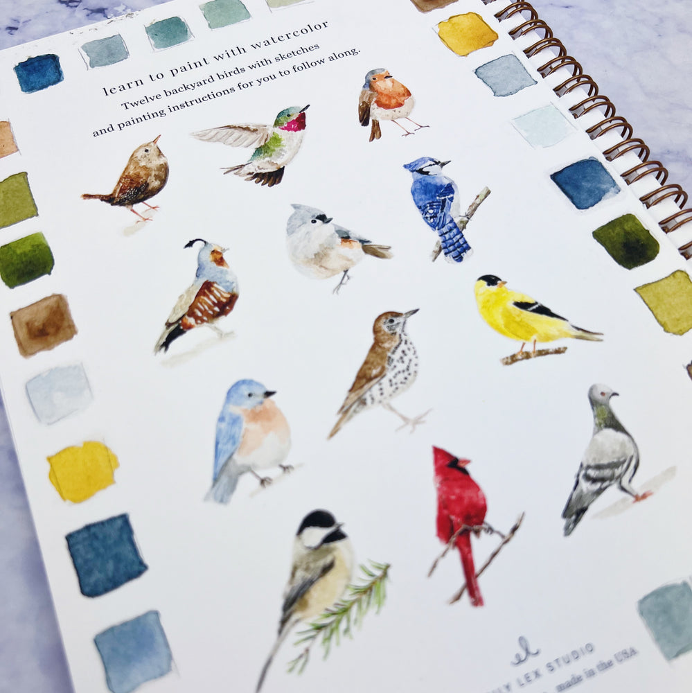 Birds Watercolor Workbook