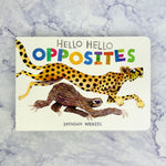 Hello Hello Opposites Board Book