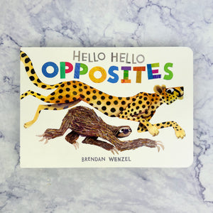 Hello Hello Opposites Board Book