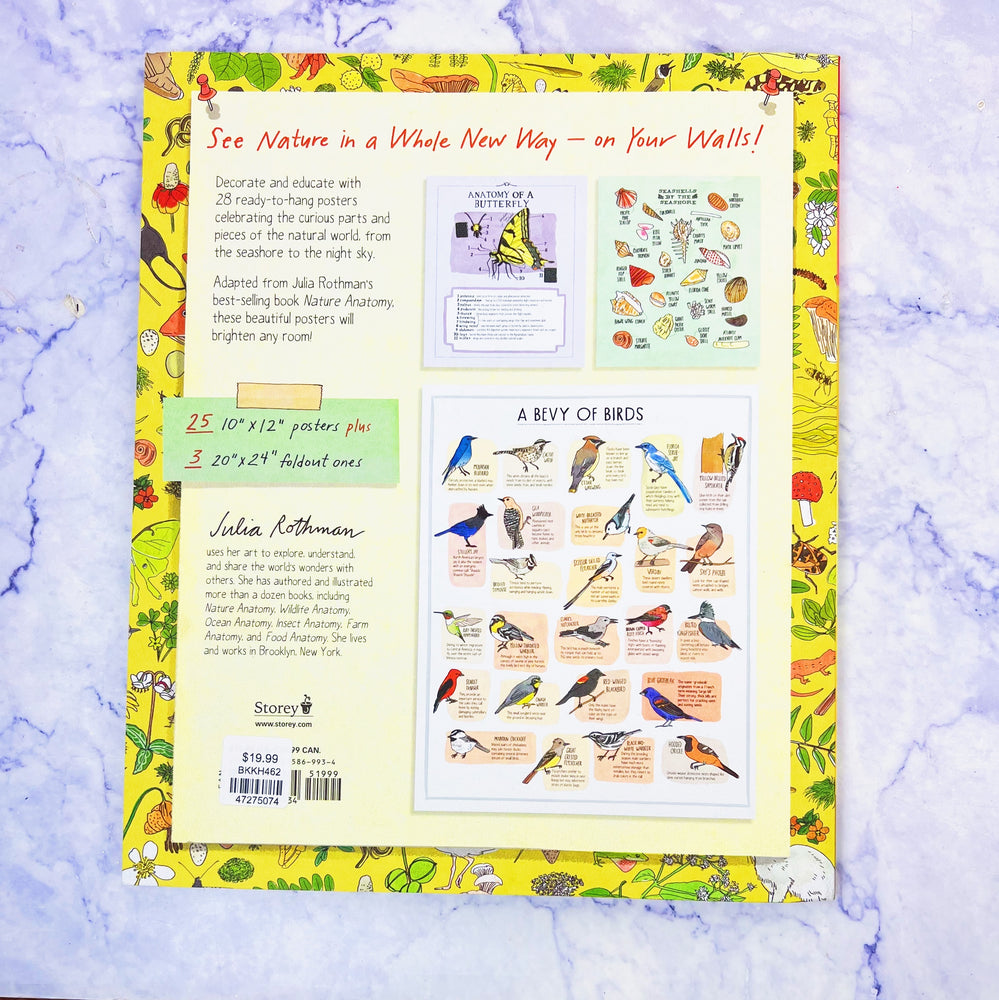 Nature Anatomy Posters Book