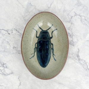 Stoneware Insect Bowls