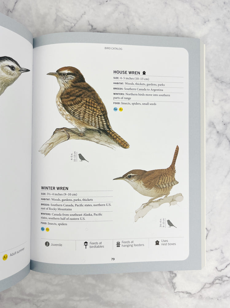 A Field Guide to Backyard Birds of North America